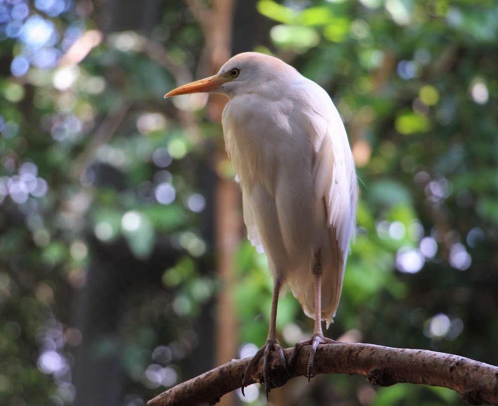 Photograph by Людмила Бутова