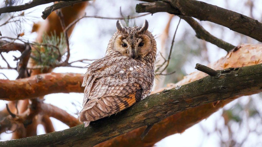 Photograph by Владимир Харук