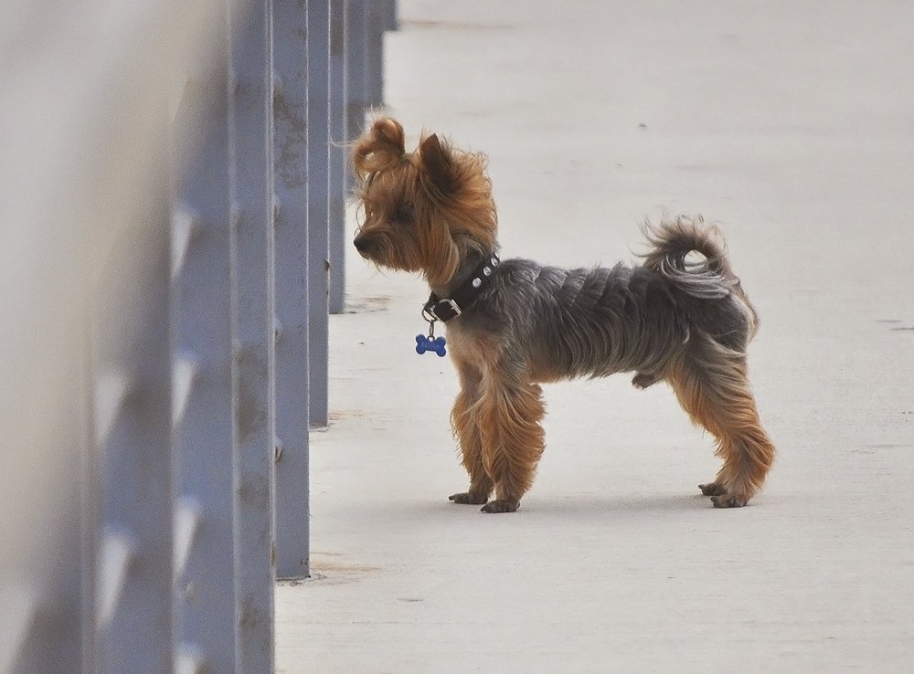 Photograph by Яков