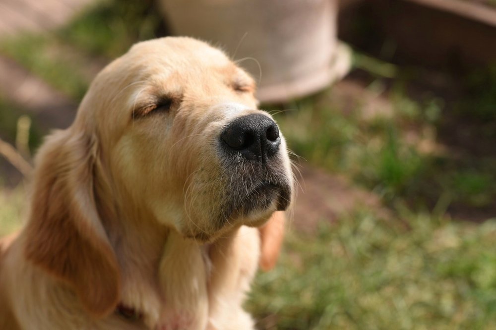 Photograph by Светлана Безлепкина