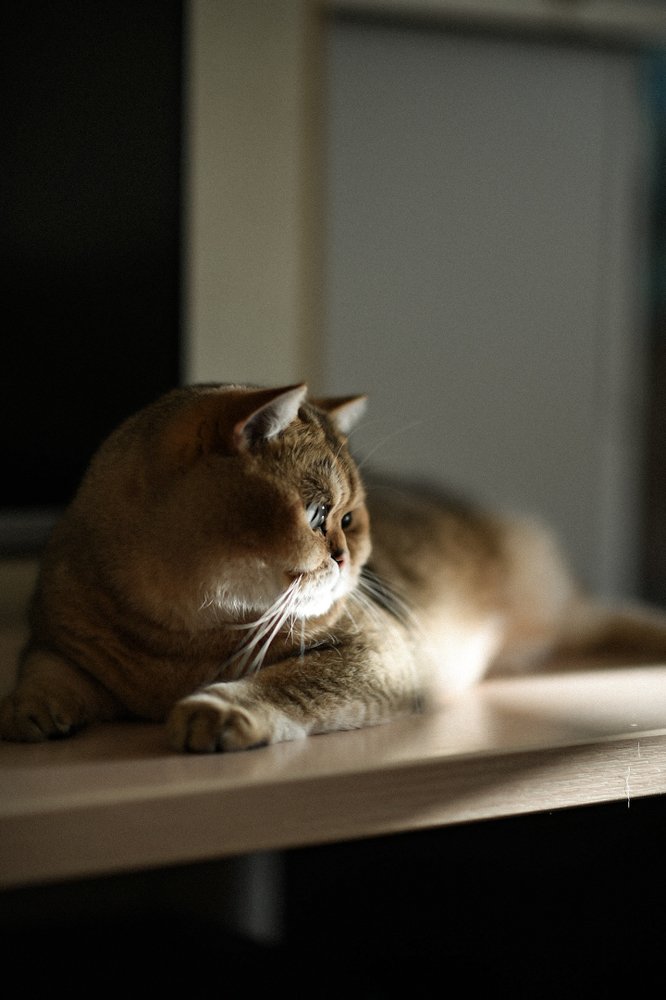 Photograph by Светлана Безлепкина