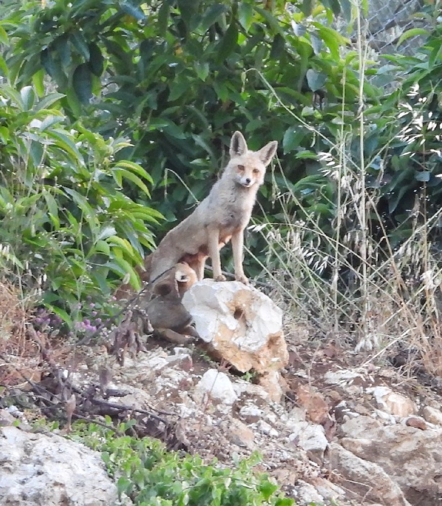 Фотография автора Fadi kassem