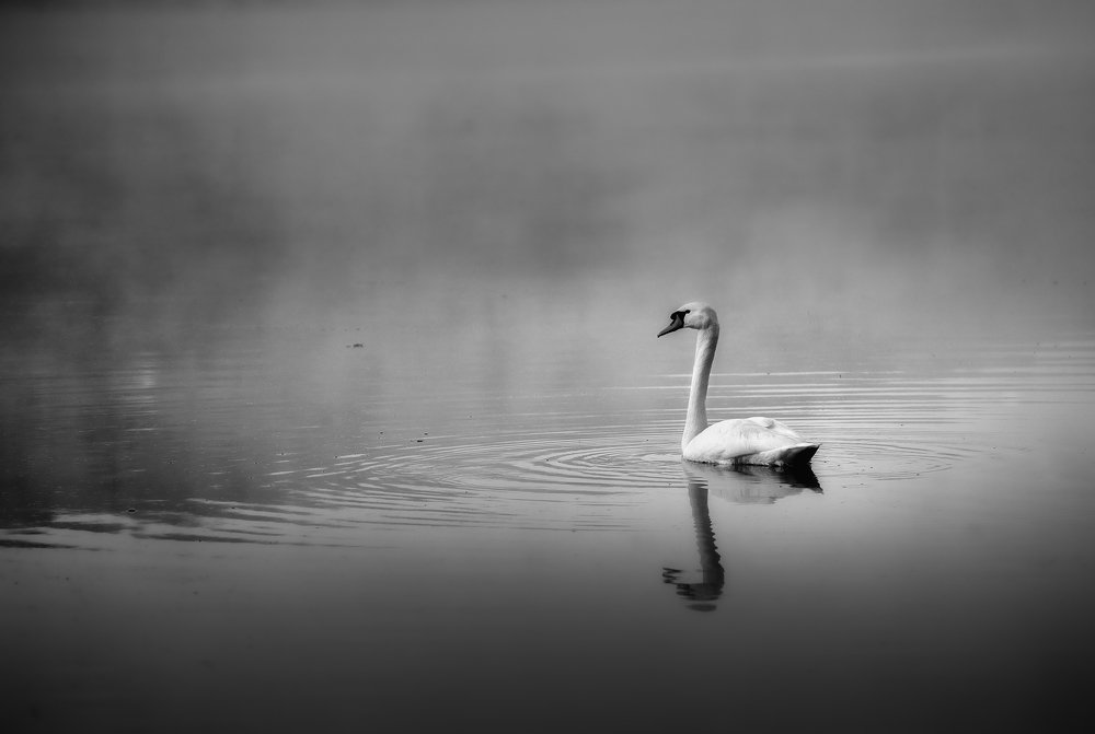 Photograph by Александр Орнатский