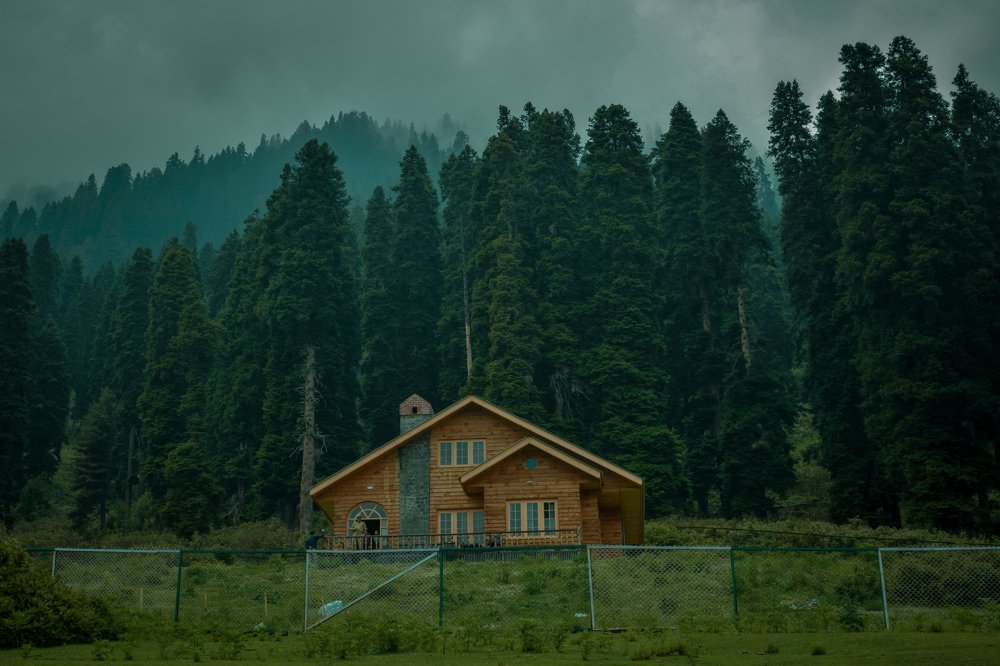 Hut in forest.