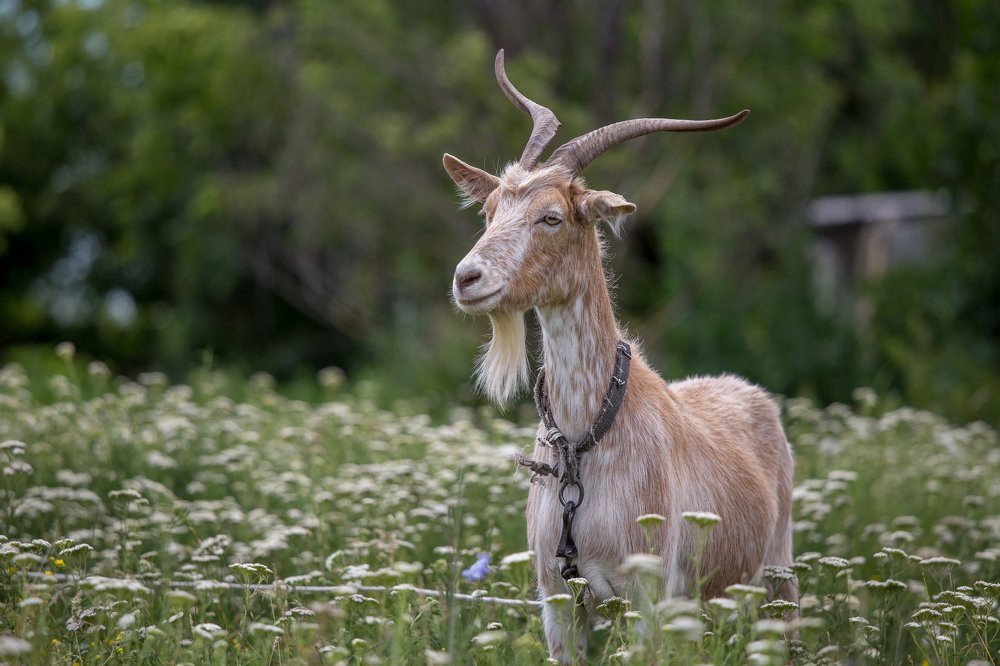 Photograph by Евгения Бочарова