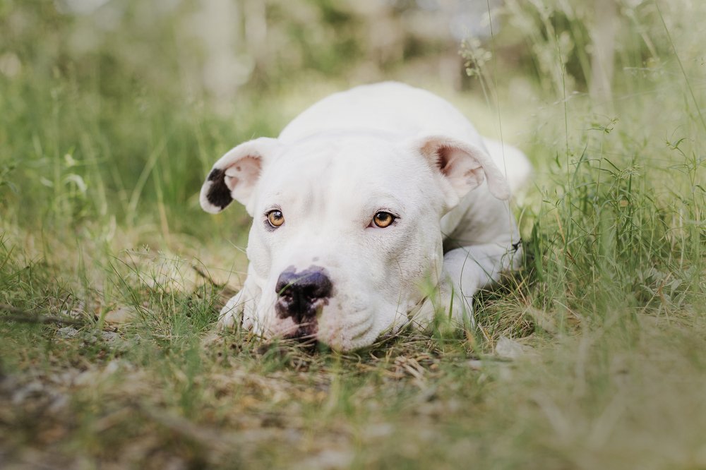 Photograph by Елена Левина