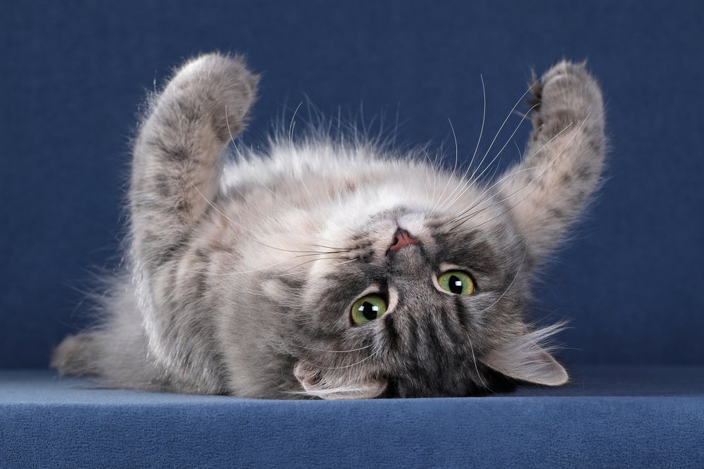 Photograph by Светлана Воскресенская