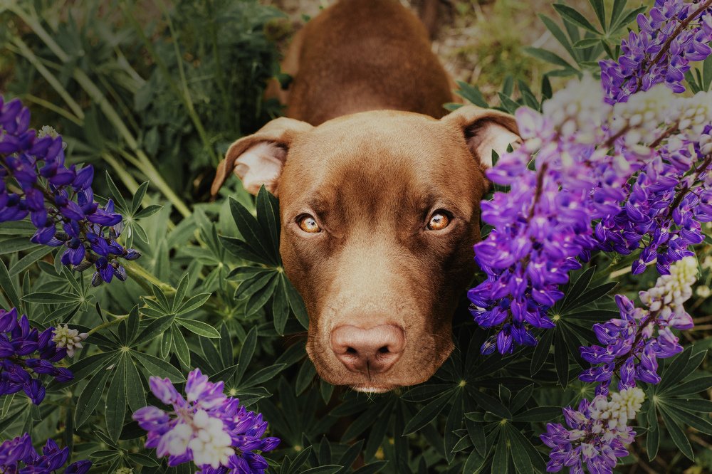 Photograph by Елена Левина