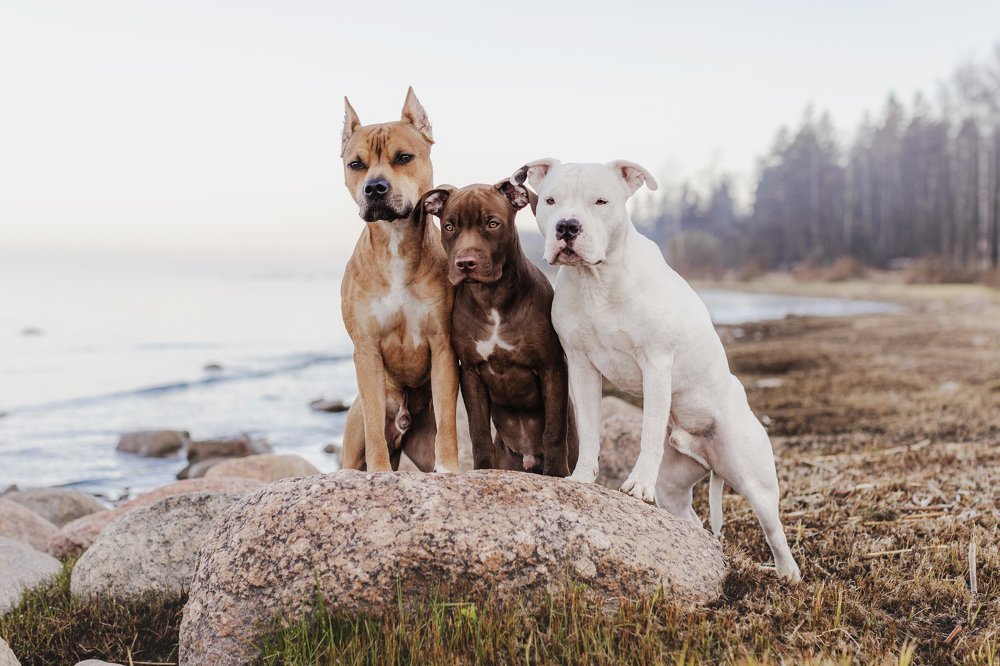 Photograph by Елена Левина