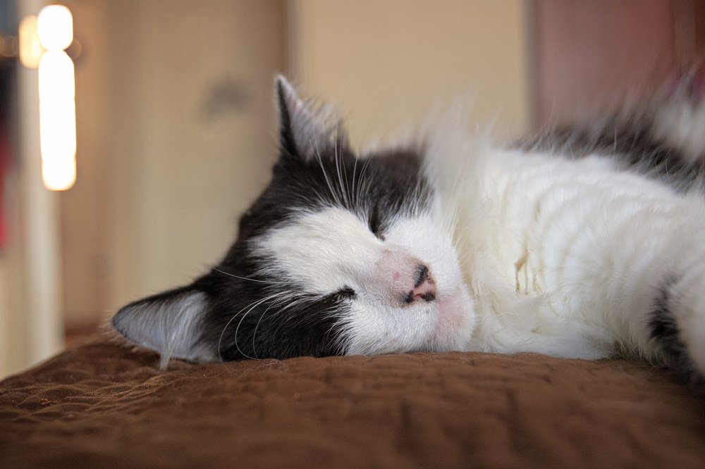 Фотография автора Juan Carlos Castillo