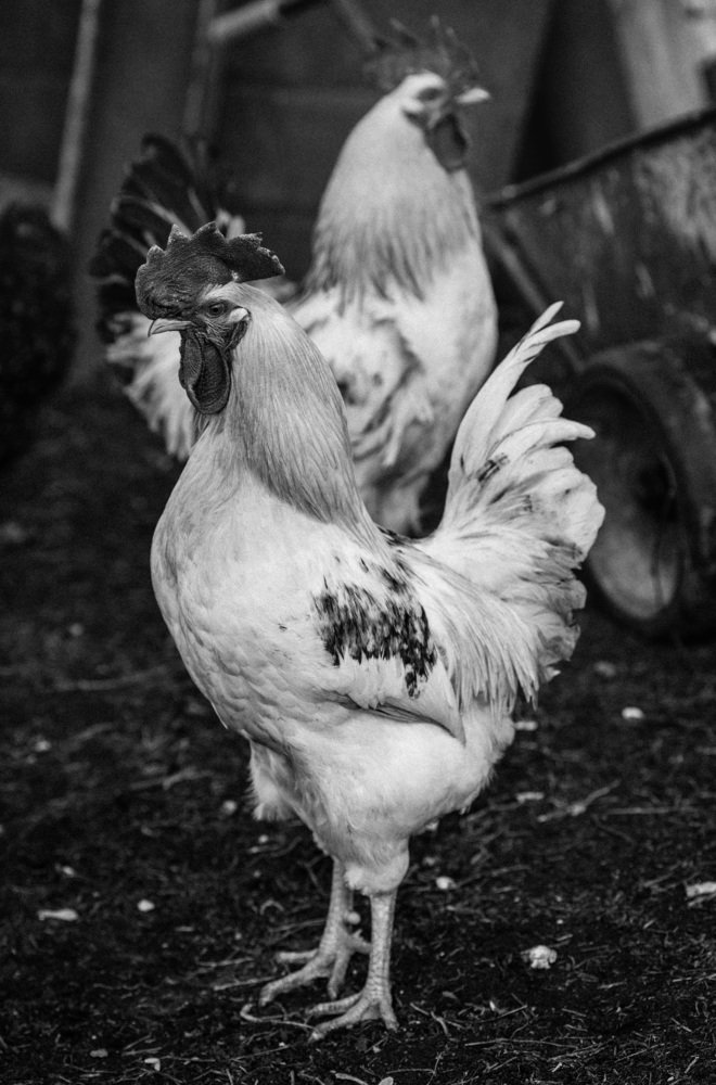 Photograph by Мария Буданова