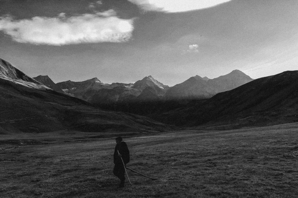 Photo #4975739