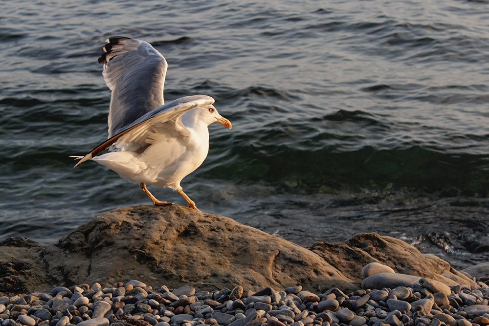 Солнечная ванна