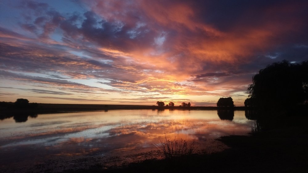 Photograph by Carina Ellis