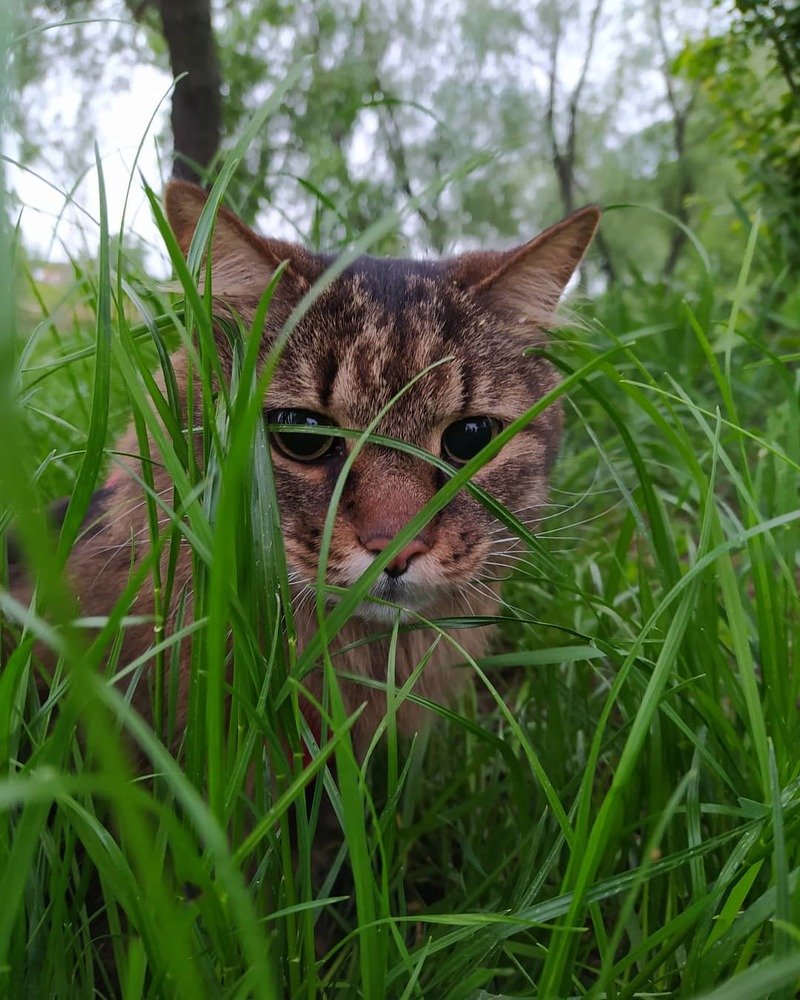 Photograph by Наталья Федорченко