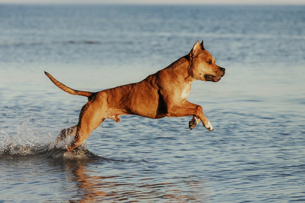 Photograph by Елена Левина