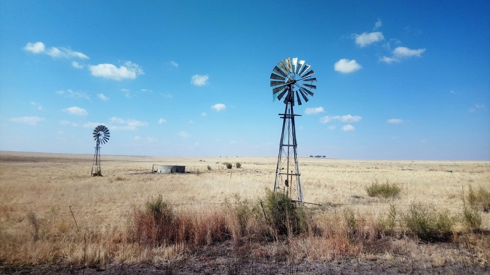 Photograph by Carina Ellis