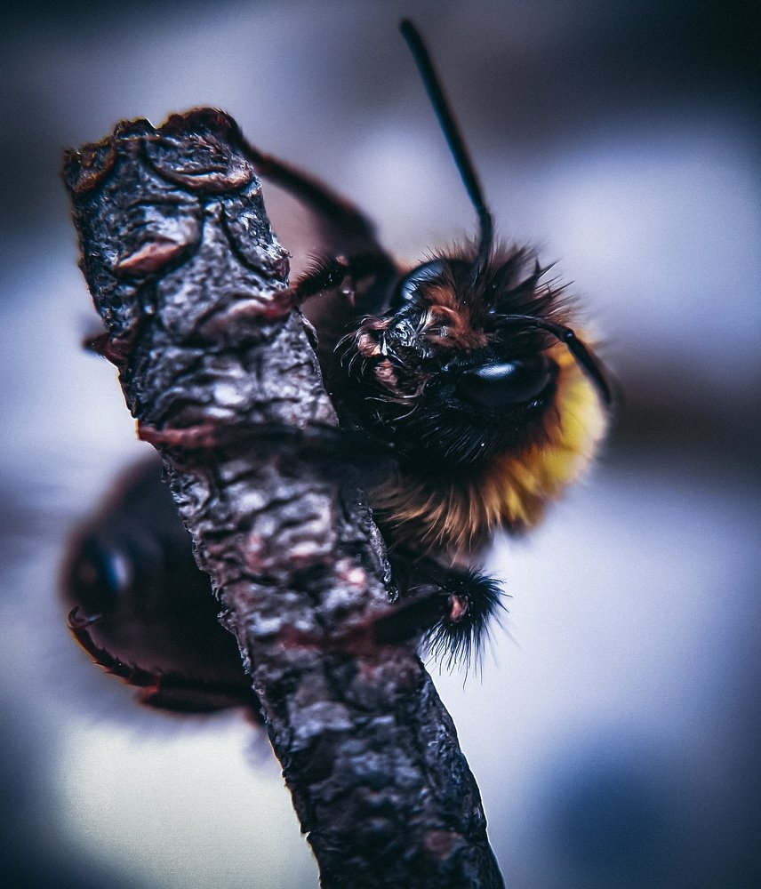 Photograph by Юлия Шматова