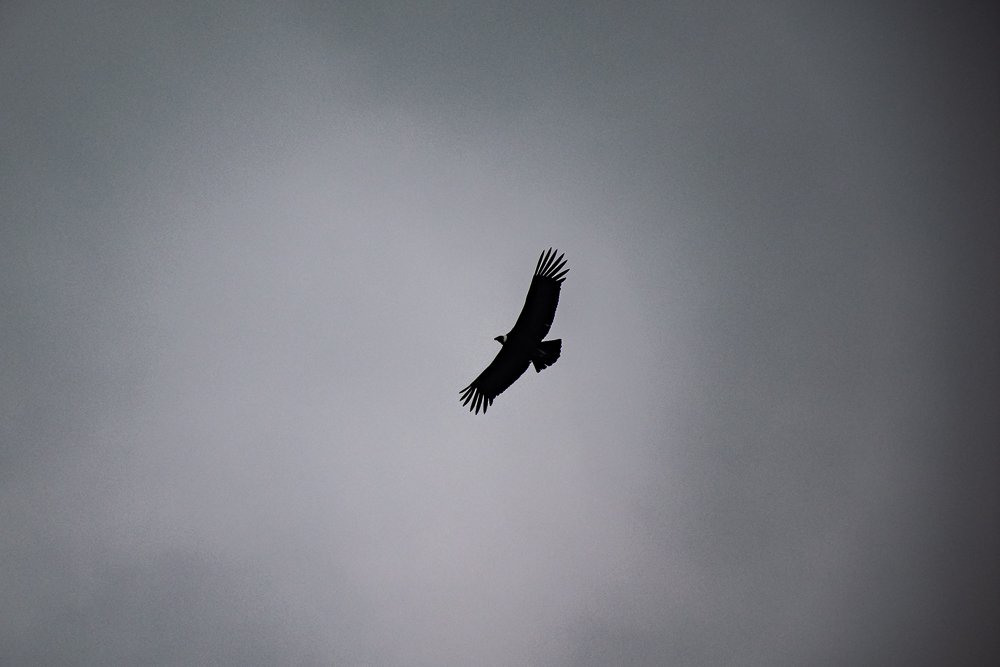 Photograph by Eduardo Vega