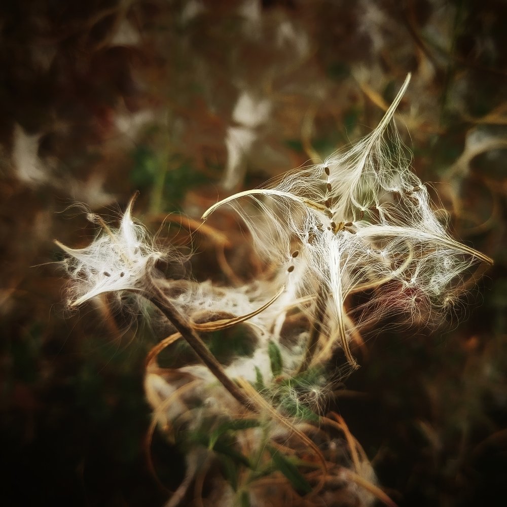 Фотография автора Сергей Побережниченко