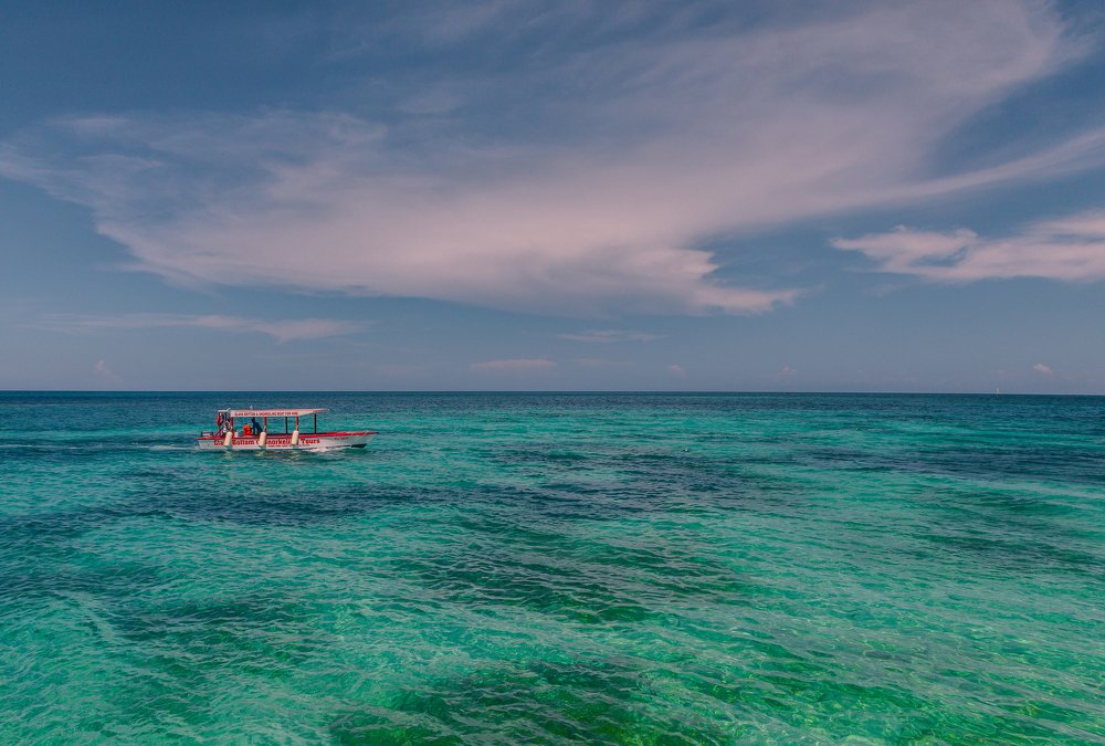 Photograph by Дмитрий Трепольский