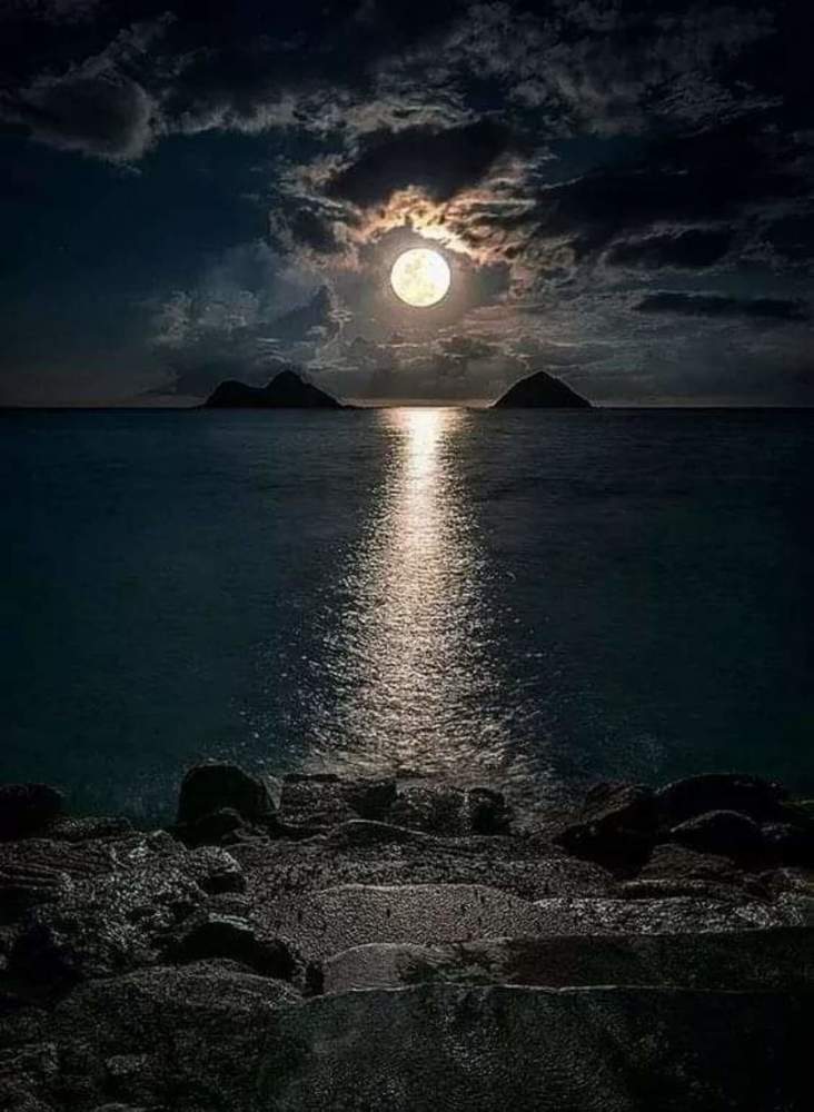 Photograph by Sameer