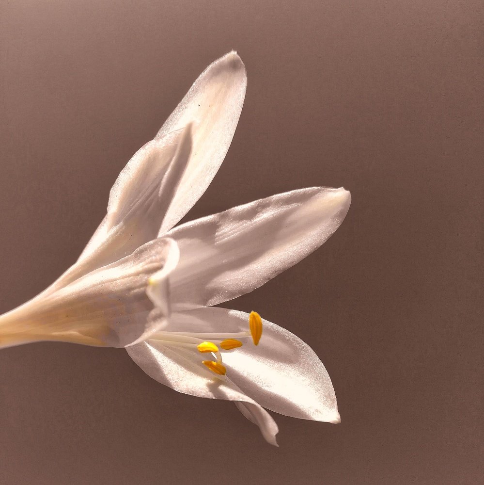 Photograph by Евгения Д