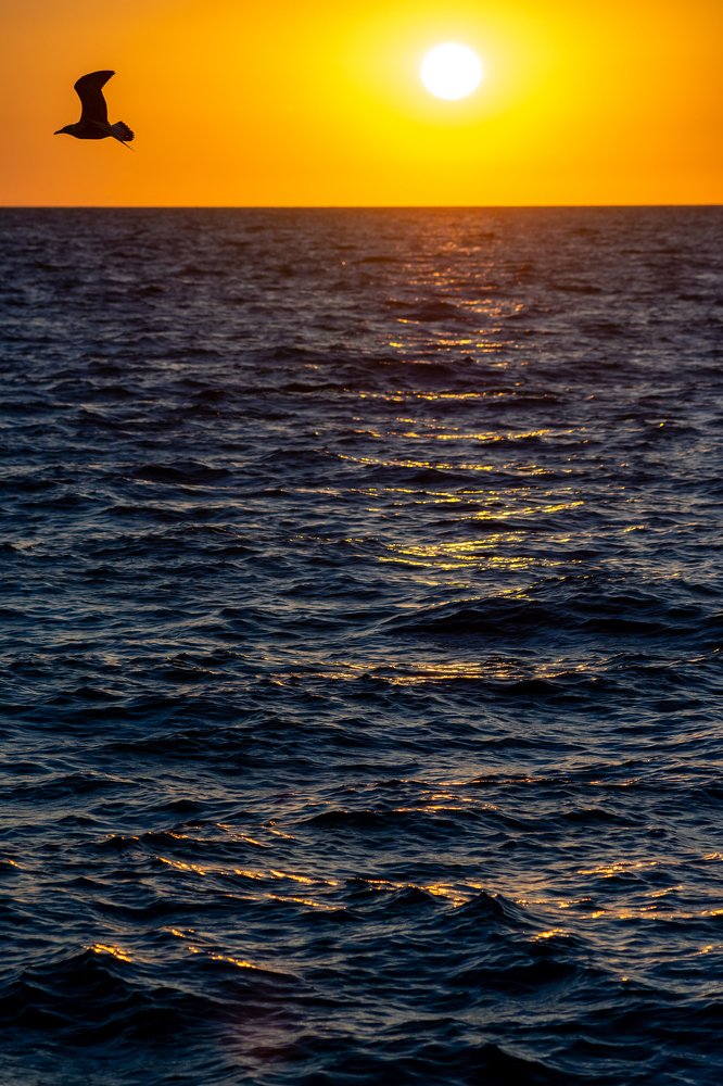 Photograph by Дзись Оксана