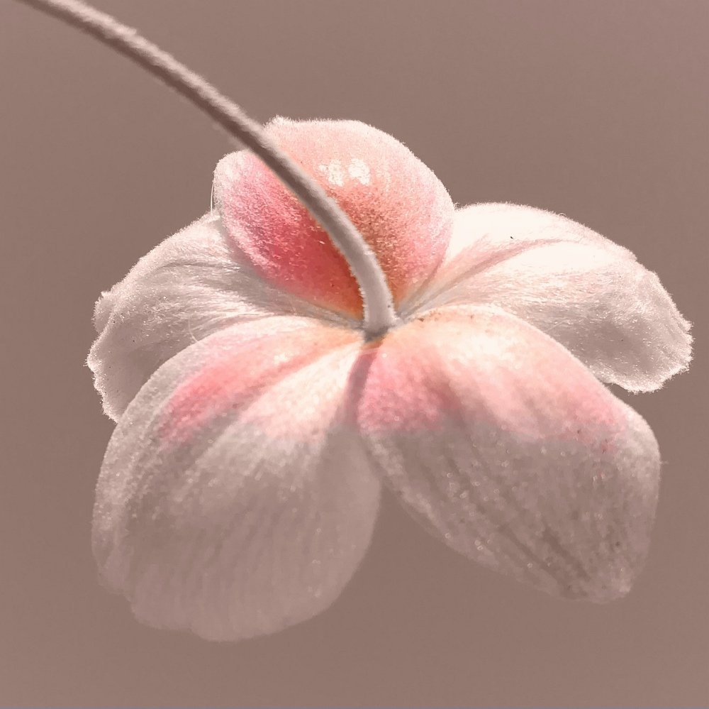 Photograph by Евгения Д