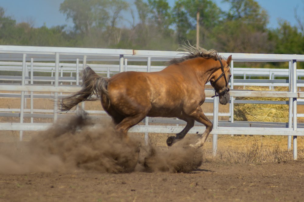 Photograph by Дзись Оксана