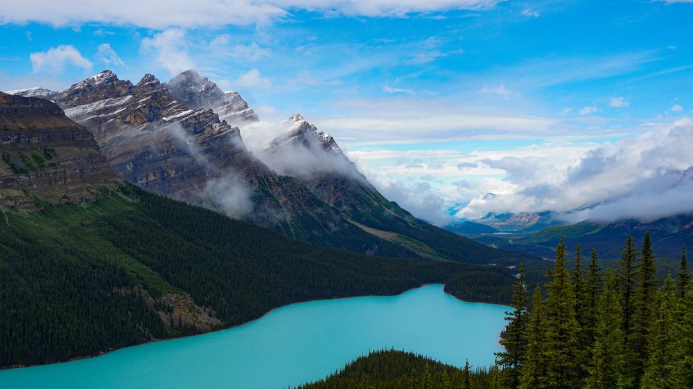 Photograph by Vinicius Dattwyler