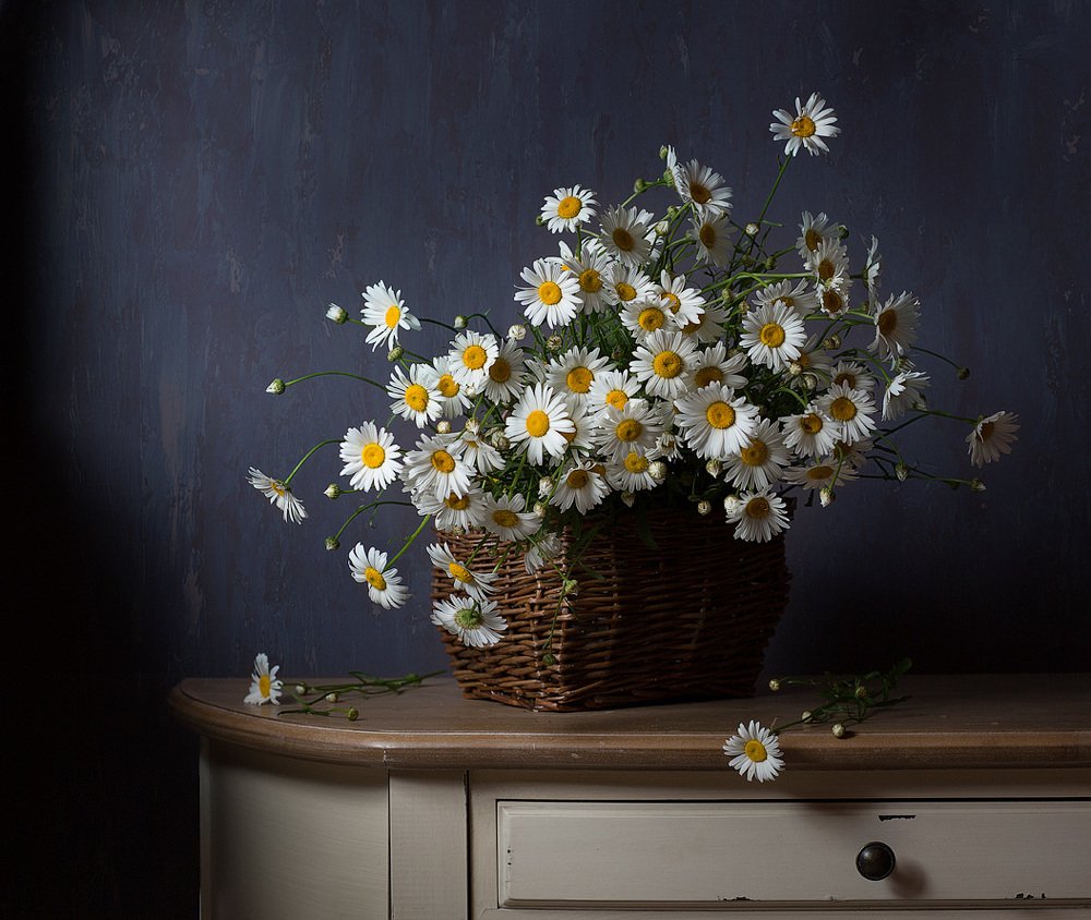 Photograph by Алина Ланкина