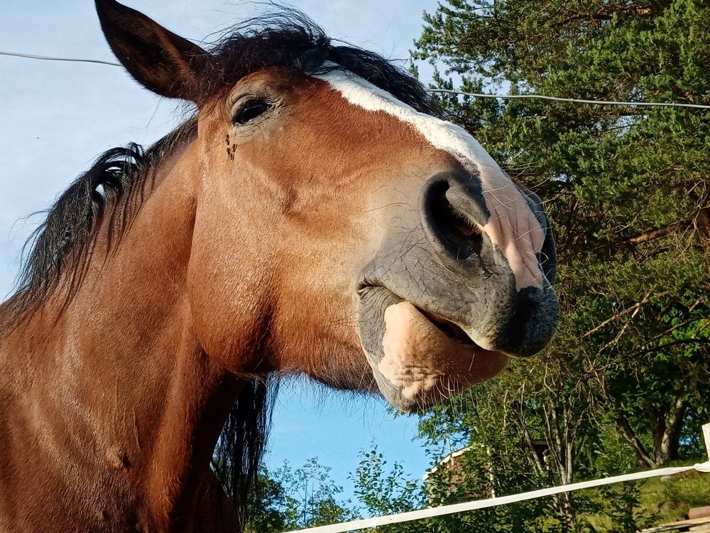 Photograph by нина кутчиева