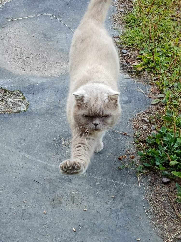 Photograph by нина кутчиева