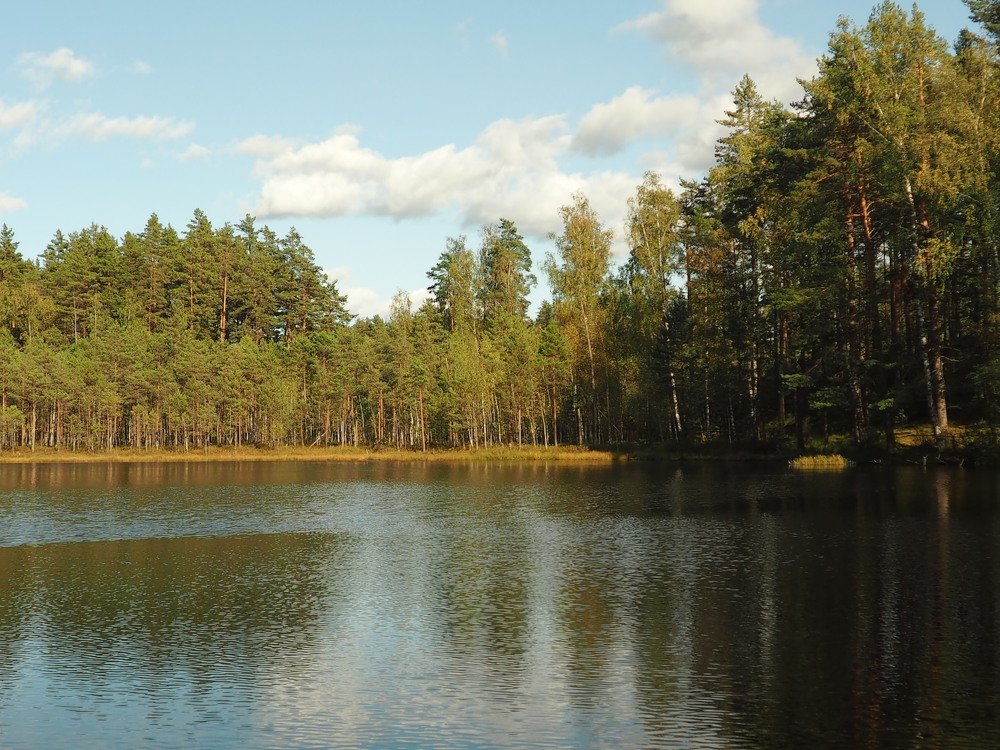 на глухом озере