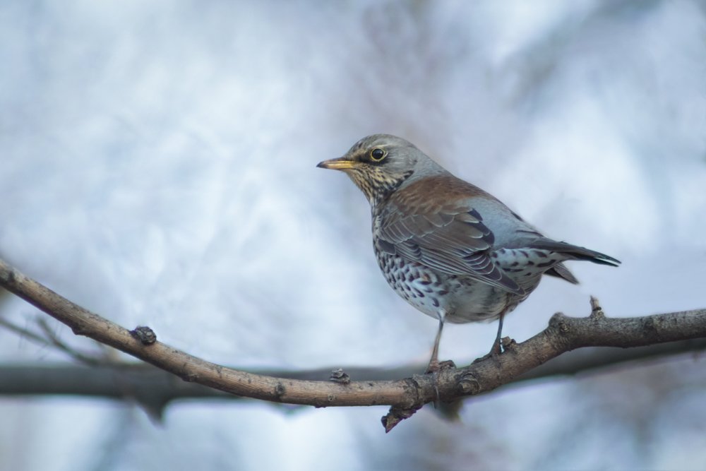 Photograph by Марина Хилько
