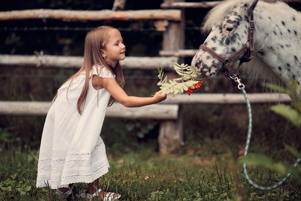 Photograph by Анна Кучинская