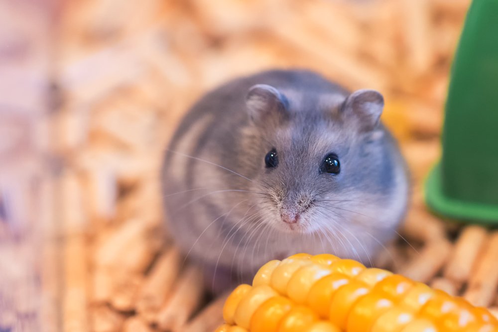 Photograph by Марина Хилько