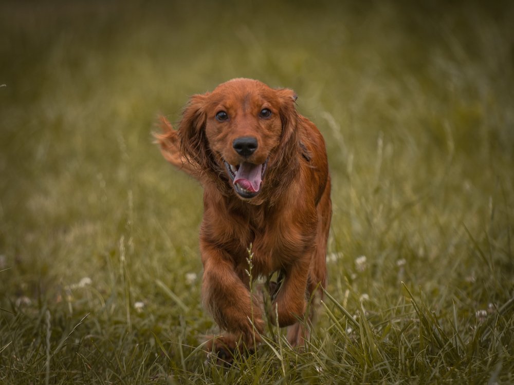 Photograph by Наталья Брюхненко