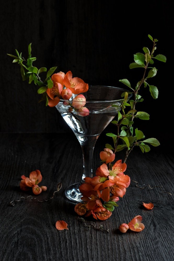 Photograph by Екатерина Долова