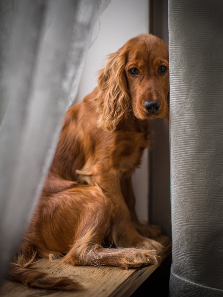 Photograph by Наталья Брюхненко