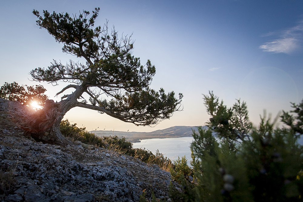 Photograph by Photos Nobilis