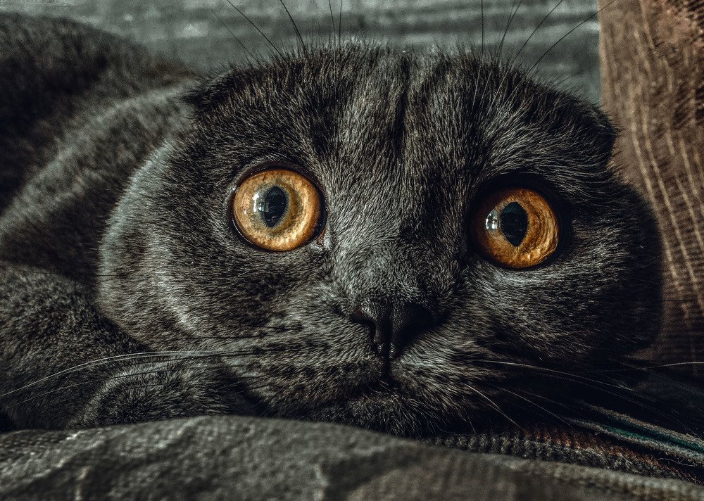 Photograph by Ирина Федорова