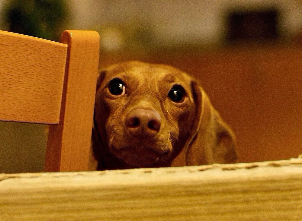 Photograph by Gisela Nunes