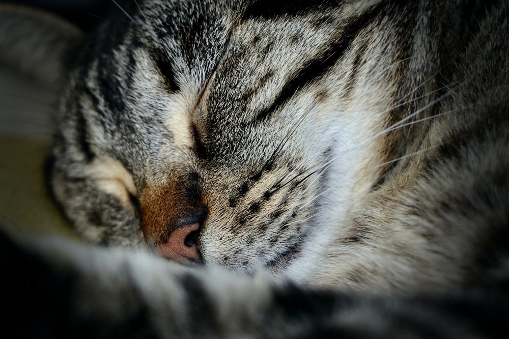 Photograph by Gisela Nunes