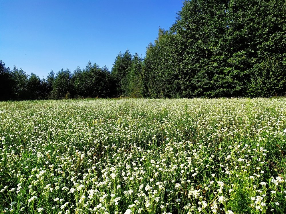 Photograph by Андрей Микулич