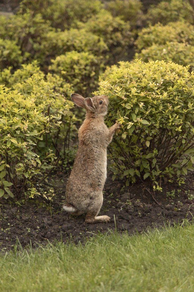 Photograph by Irina Stanislavskaya