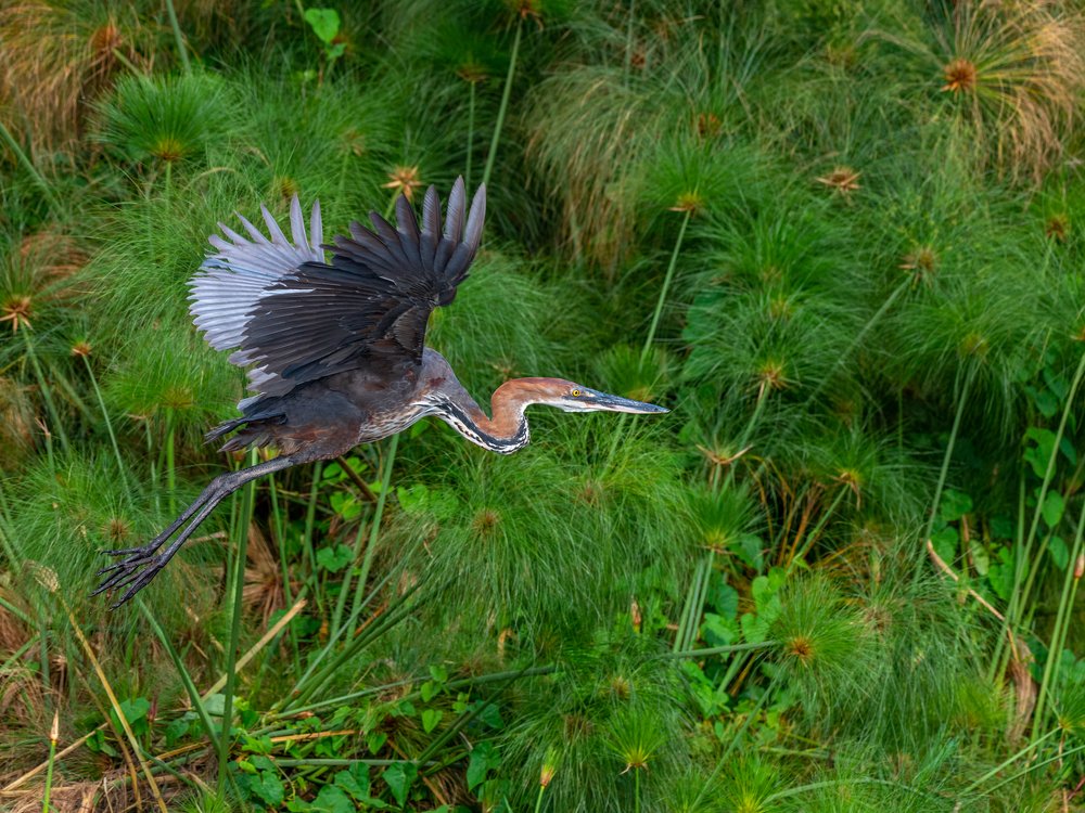 Photograph by Ricardo Núñez Montero