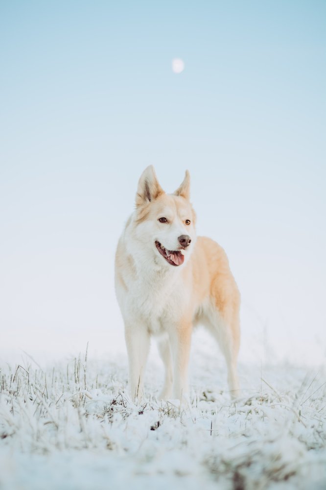 Photograph by Liguanna Anna