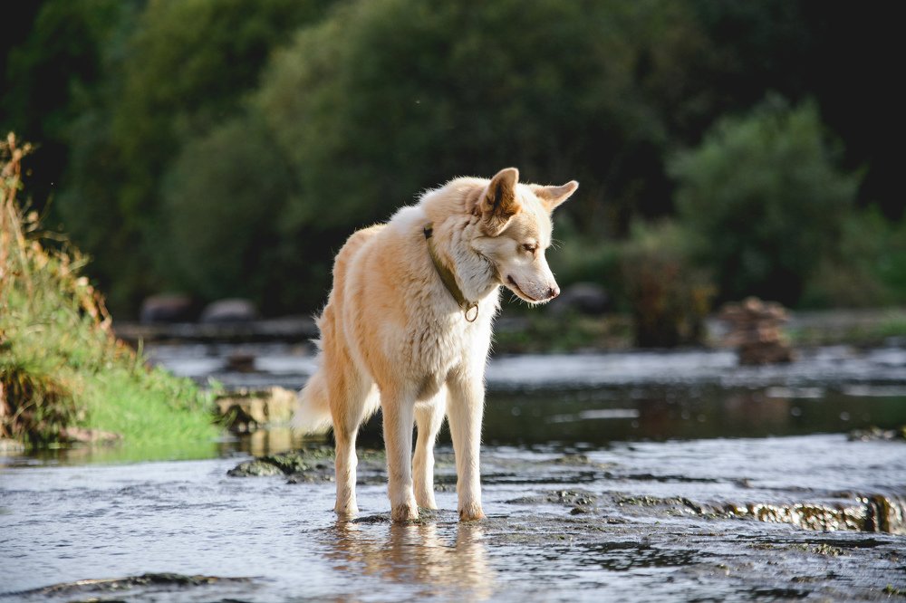 Photograph by Liguanna Anna